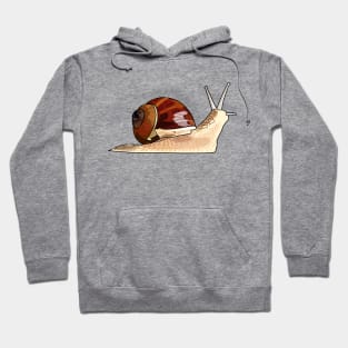 Snail cartoon illustration Hoodie